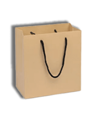 Brown Paper Cake Bags With Handles (10 x 10 inches)