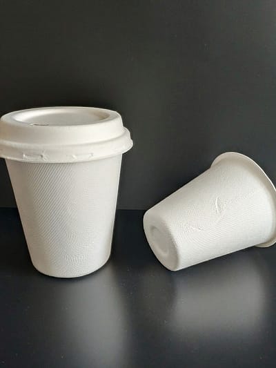 8 oz Sugarcane Bagasse Coffee cup with lids