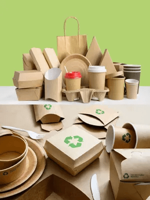 Eco-Friendly (Biodegradable)